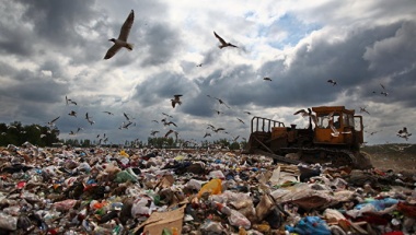 Россия до 2030 года намерена повысить уровень утилизации отходов до 60%